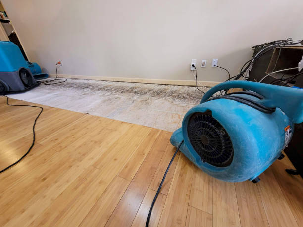 Professional Water Extraction technician working in Allendale, NJ